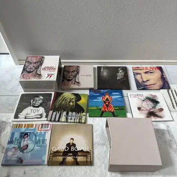 데이비드 보위 Brilliant Adventure CD 박스 세트