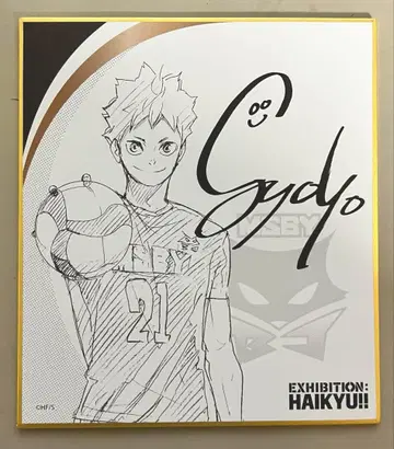 하이큐전 색지 히나타 쇼요 색지 컬렉션 2 사인 포함 원작