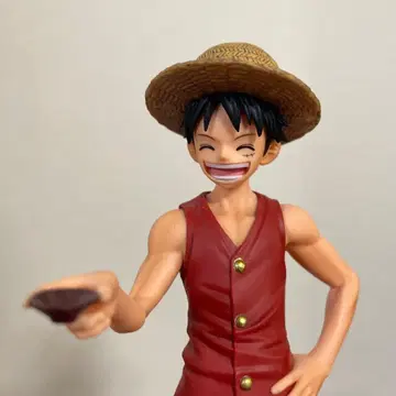 원피스 꿈의 한 장 형제 잔 루피