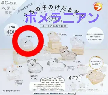 포메라니안 우리 집 강아지 털뭉치 개 가챠 정품