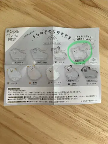 우리 아이 털뭉치 C-pla 페테모 한정판 치와와 (화이트)