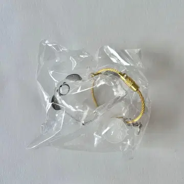 우리 애기 털뭉치 강아지 믹스 한정판 모듬