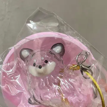 케다마다마 블랙 치와와