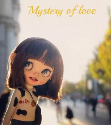 커스텀 브라이스 해외 작가님