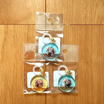 논호이 파크 사자 아기 멀티 참 사자 동물원