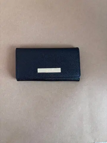 Agnes b. 키케이스