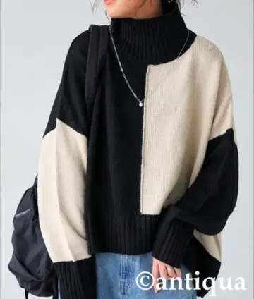 antiqua 하이넥 니트