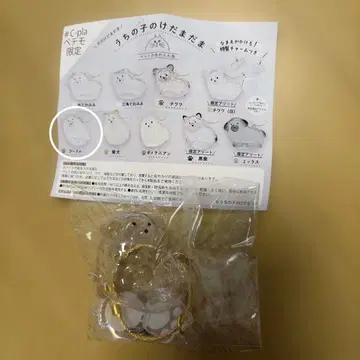 우리 집 털뭉치 푸들