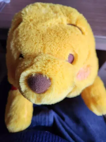 푸우 빨간 볼 눕기 LL 봉제 인형