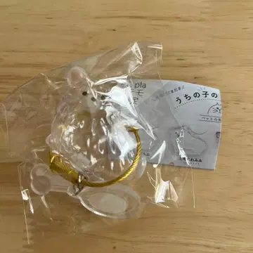 우리 아이의 털뭉치