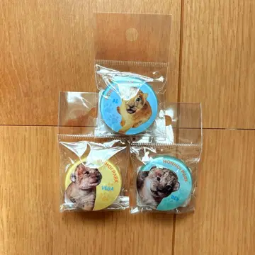 논호이 파크 사자 아기 유리 마그넷 세트 라이온