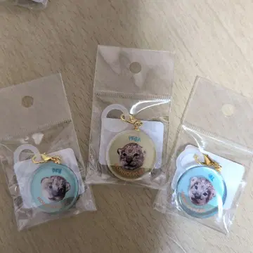 논호이 파크 사자 아기 알.베가.덴.멀티 참 3개 세트