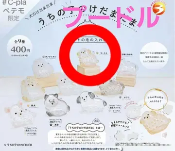 푸들 우리 아이 털뭉치 강아지 가챠 정품