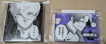 블루 록 나기 세이시로 & 미카게 레오 아크릴 플레이트