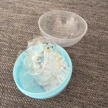 강아지 털뭉치 푸들