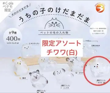 우리 아이의 털뭉치