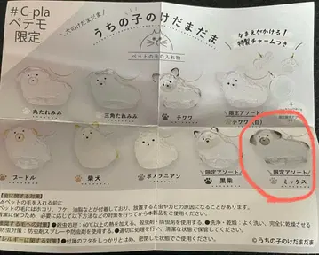 우리 아이 털뭉치 한정판 모듬