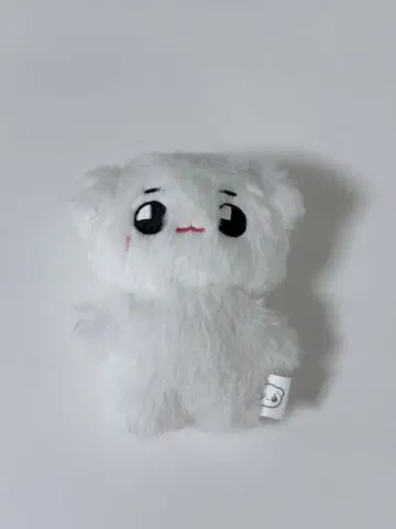 NCT 127 태용 태용야