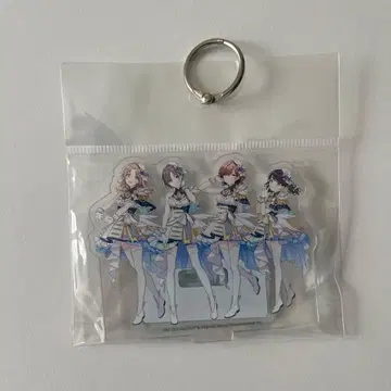 노크틸 아크릴 스탠드