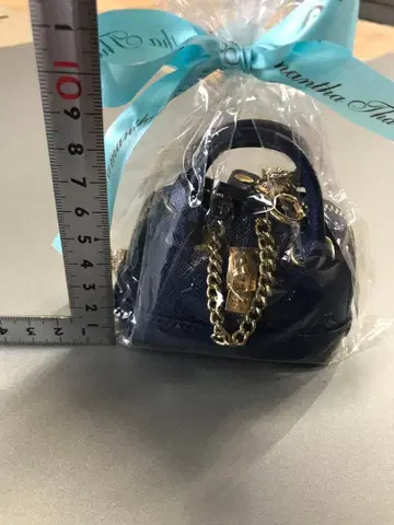 사만다 타바사 미니 백참