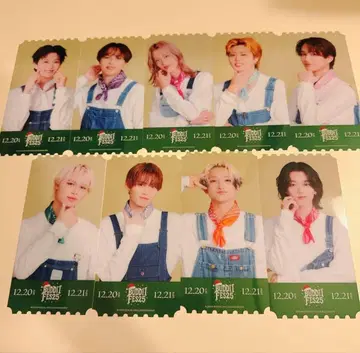 버디 페스티벌 FC 클리어 픽처 컴프 세트