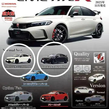 1/64 Honda CIVIC TYPE RFL5