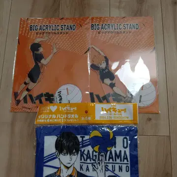 하이큐!! 빅 아크릴 스탠드 2개 세트 2499엔! 덤 포함