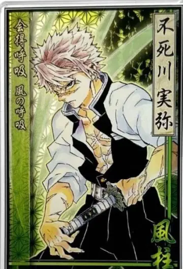 귀멸의 칼날 스탯 카드 컬렉션 시나즈가와 사네미