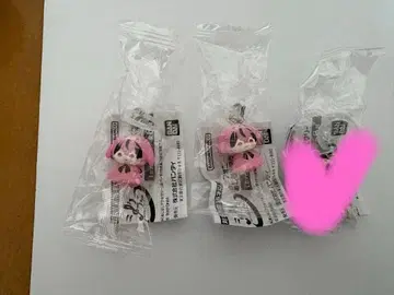 시쿠포니 메지루시 액세서리 LAN 미코토