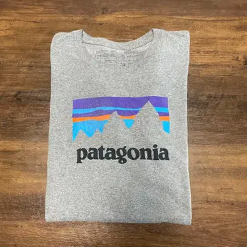patagonia 그레이 T셔츠 48 (L)
