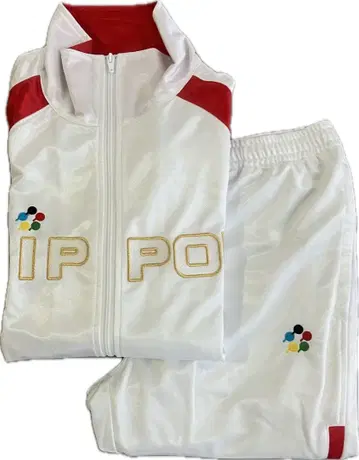 도쿄사변 니폰니아 저리 2020 시이나 링고