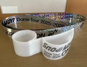 SnowMan 돔 투어 낙하물 2점 세트