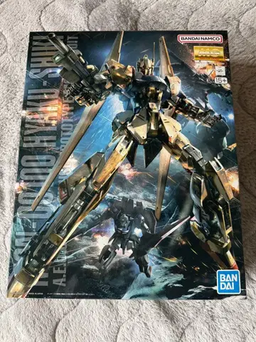 MG 1/100 백식 ver.2.0