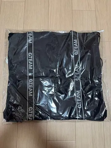 &TEAM LOGO MERCH 2WAY KNAPSACK 냅색