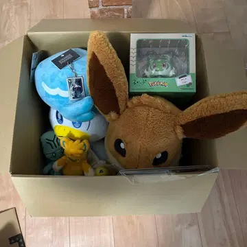 클래식 보아 봉제 인형 이브이 등신대 쿠쿠린 등 포켓몬 굿즈 세트