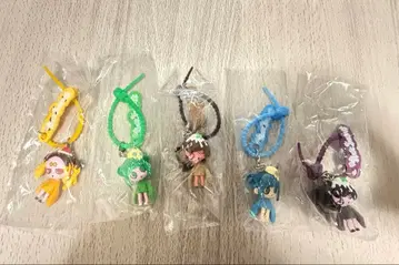 윌스위츠 컬러풀 멀티 참 5개 세트