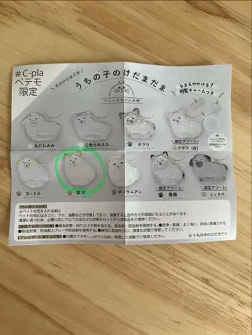 우리 집 털뭉치