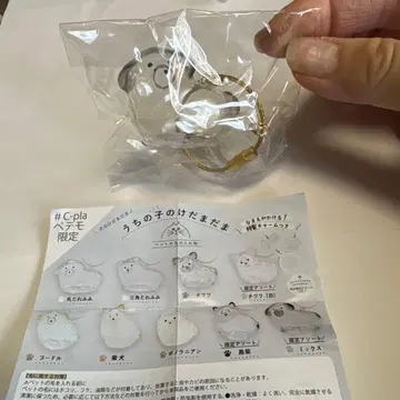 우리 아이의 케다마담 이누 믹스 한정판 아트