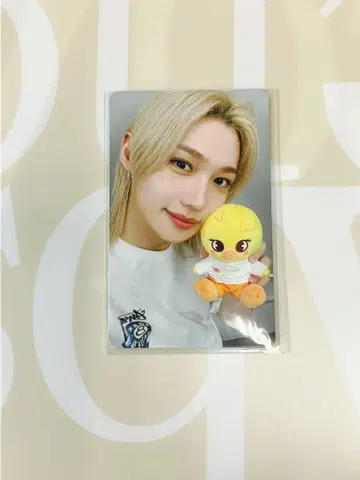 stray kids 쥬토피아 2 구매 혜택 트레이딩 카드 필릭스