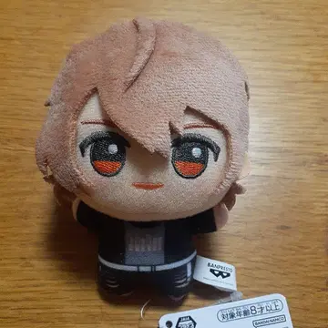 컬러풀 피치 SD 인형 2025ver. 우리