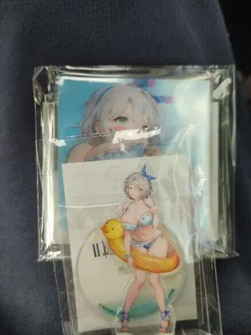 브라운더스트2 브라운더스트2 NEO3D 복권 테레제 C상 D상