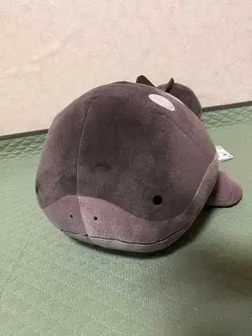 포켓몬 도오 봉제 인형