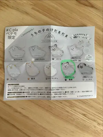 우리 아이의 털뭉치