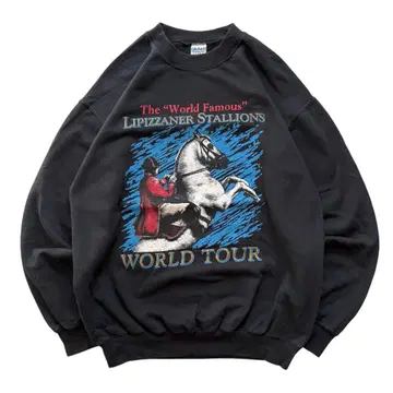 90~00s 리피자너 스탈리온즈 월드 투어 맨투맨