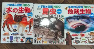 신판 물의 생물 곤충 위험 생물 DVD 세트