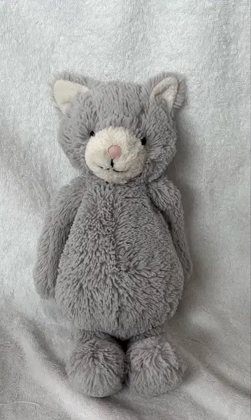 제리캣 Jellycat Bashful Kitty