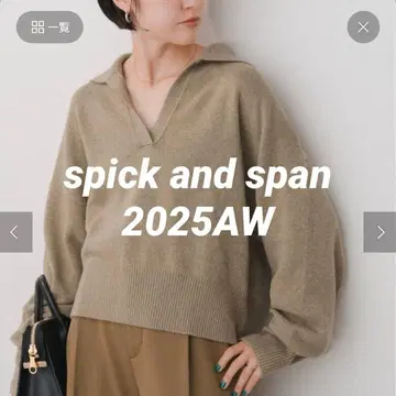 울 혼방 피케 셔츠 풀오버 spick and span 베이지