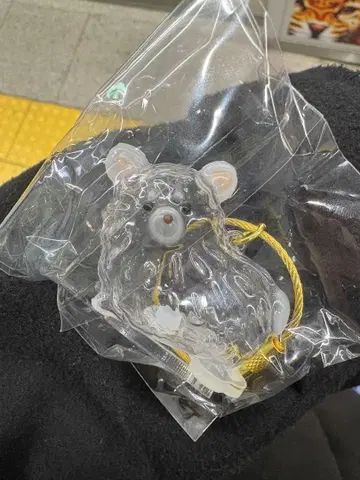 우리 아이의 케다마담 이누 한정판 모듬 치와와 화이트 가챠가챠 가챠