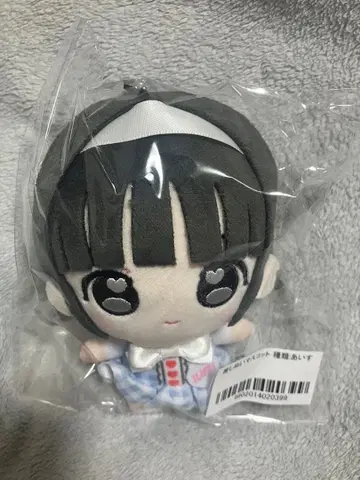 미개봉 새상품 iLiFE! 아이스 최애 봉제 인형 마스코트