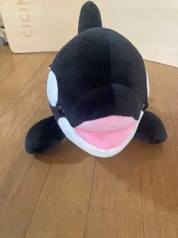 고베 스마 씨 월드 범고래 봉제 인형